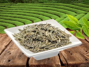 SENCHA BIO