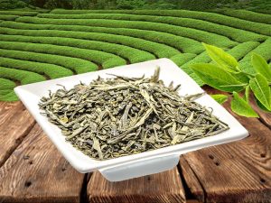 SENCHA