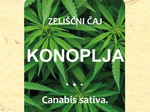 TISANA ALLA CANAPA